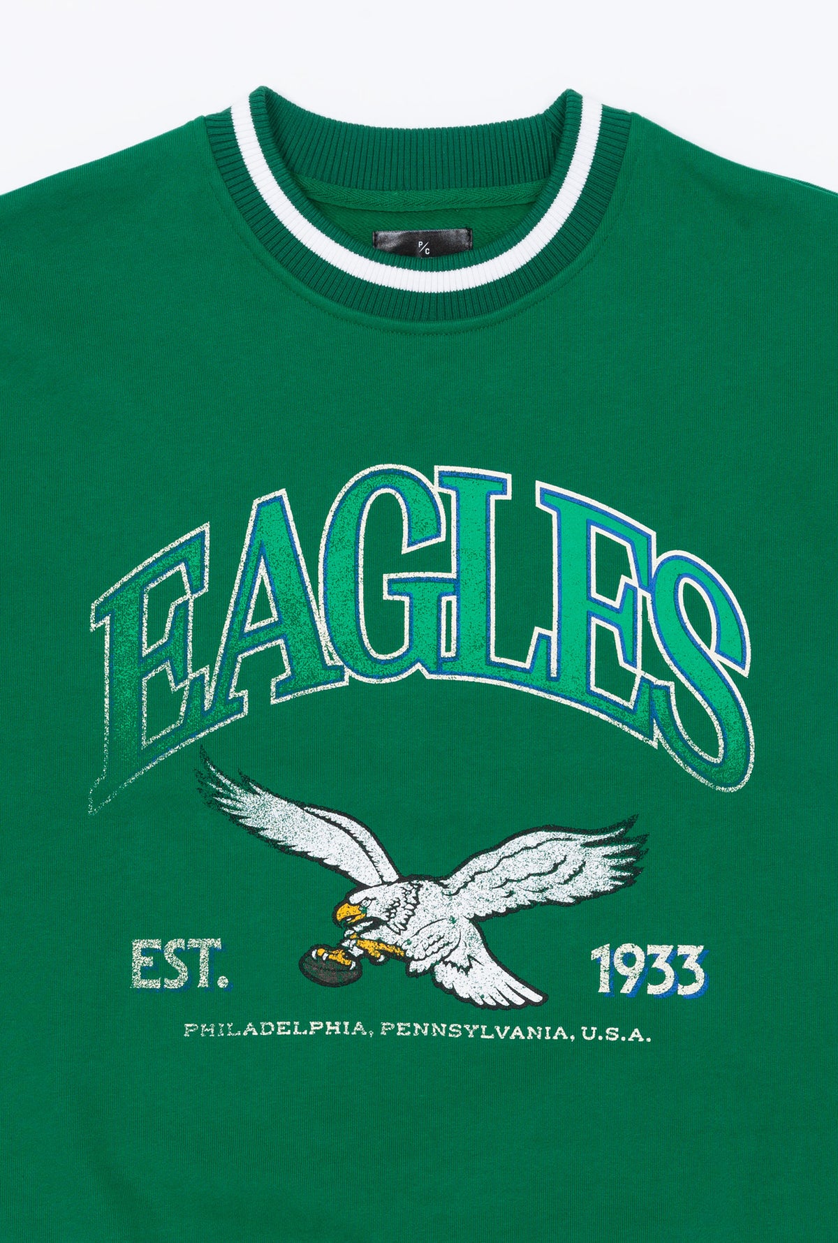 Philadelphia Eagles Vintage Striped Heavyweight Crewneck - Kelly Green