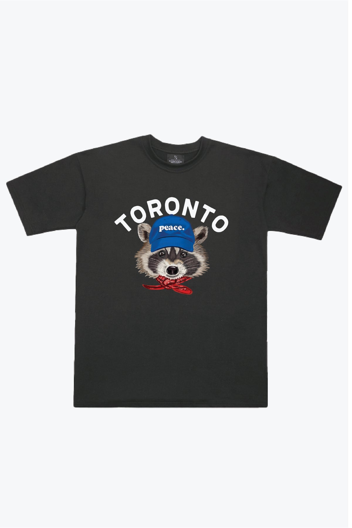 Toronto Trash Teddy Heavyweight T-Shirt - Black