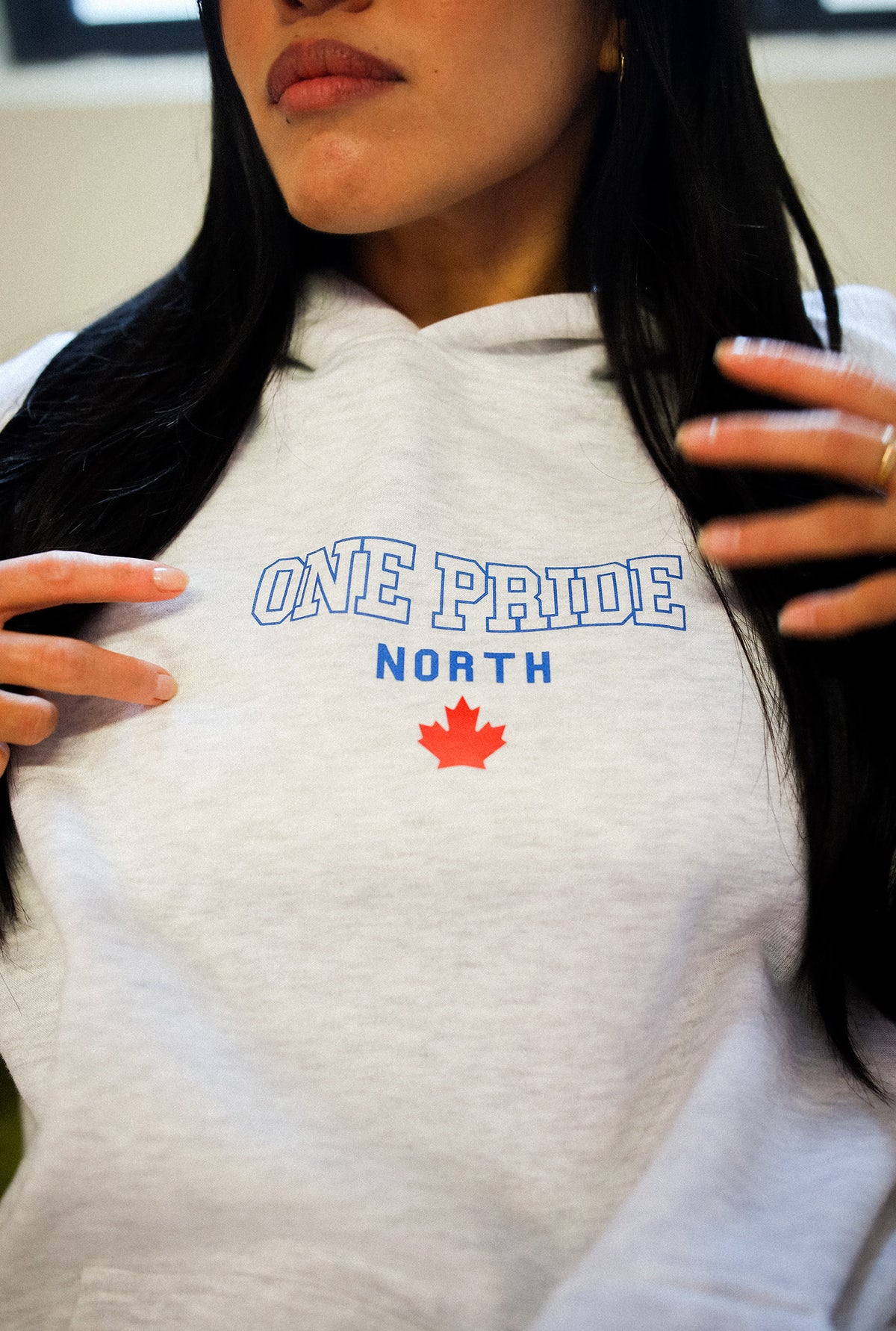 Detroit Lions One Pride North Heavyweight Hoodie - Ash