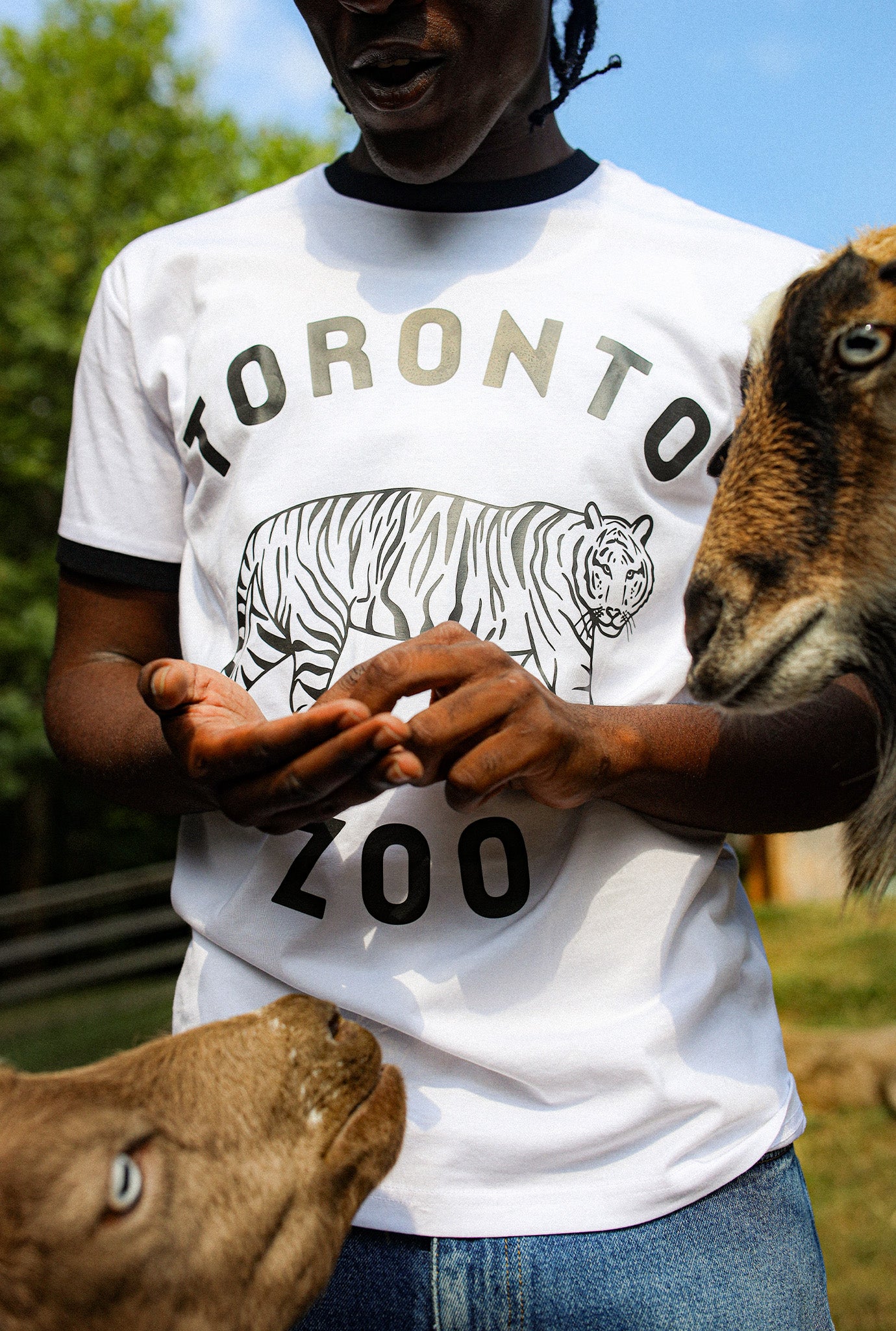 Toronto Zoo Ringer T-Shirt - Black / White