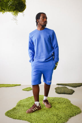 Peace Basics Fleece Shorts - Royal