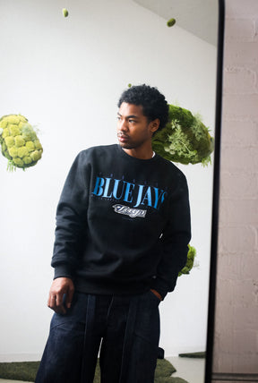 Pull ras du cou épais des Blue Jays de Toronto - Noir