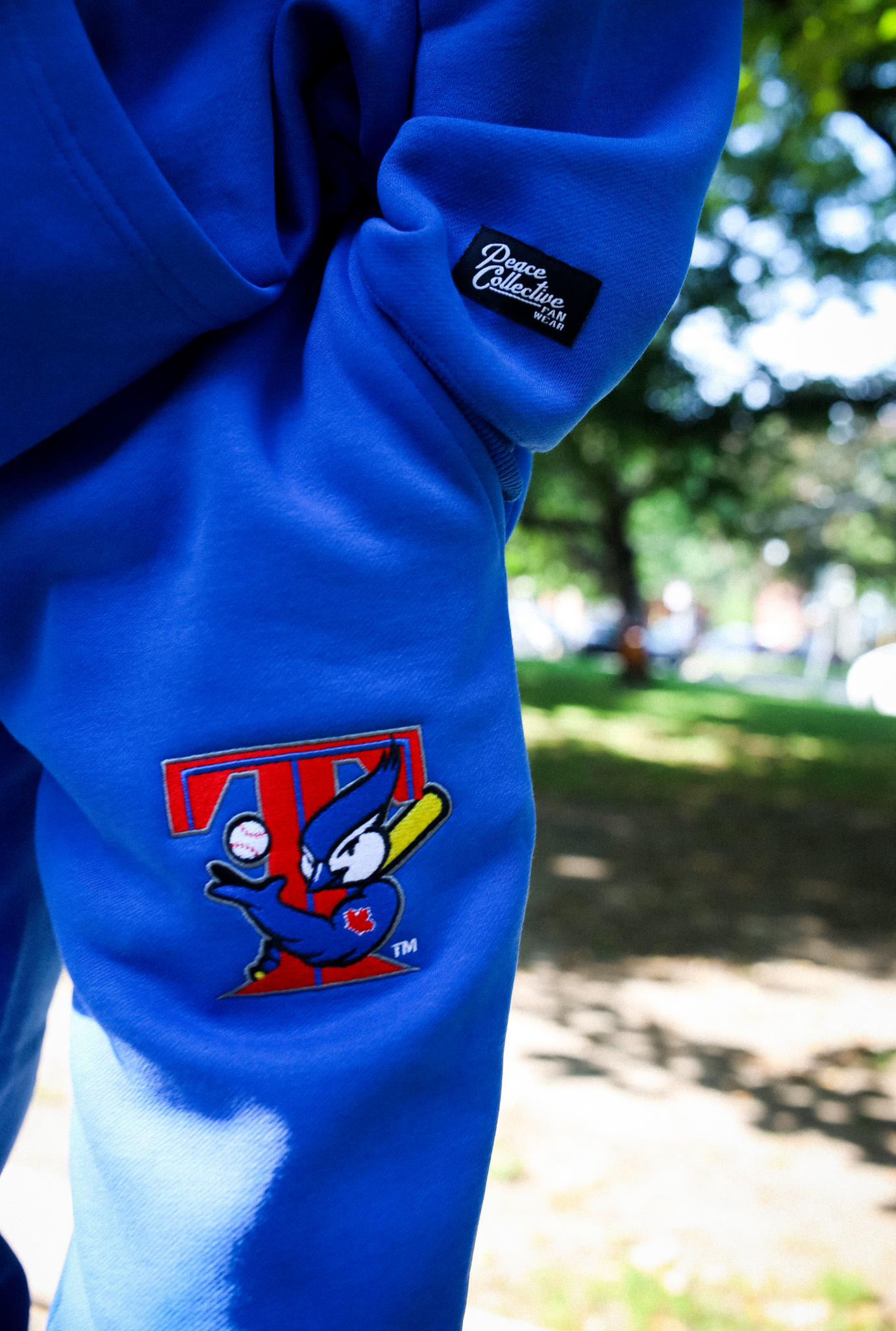 Toronto Blue Jays Vintage Heavyweight Jogger - Royal