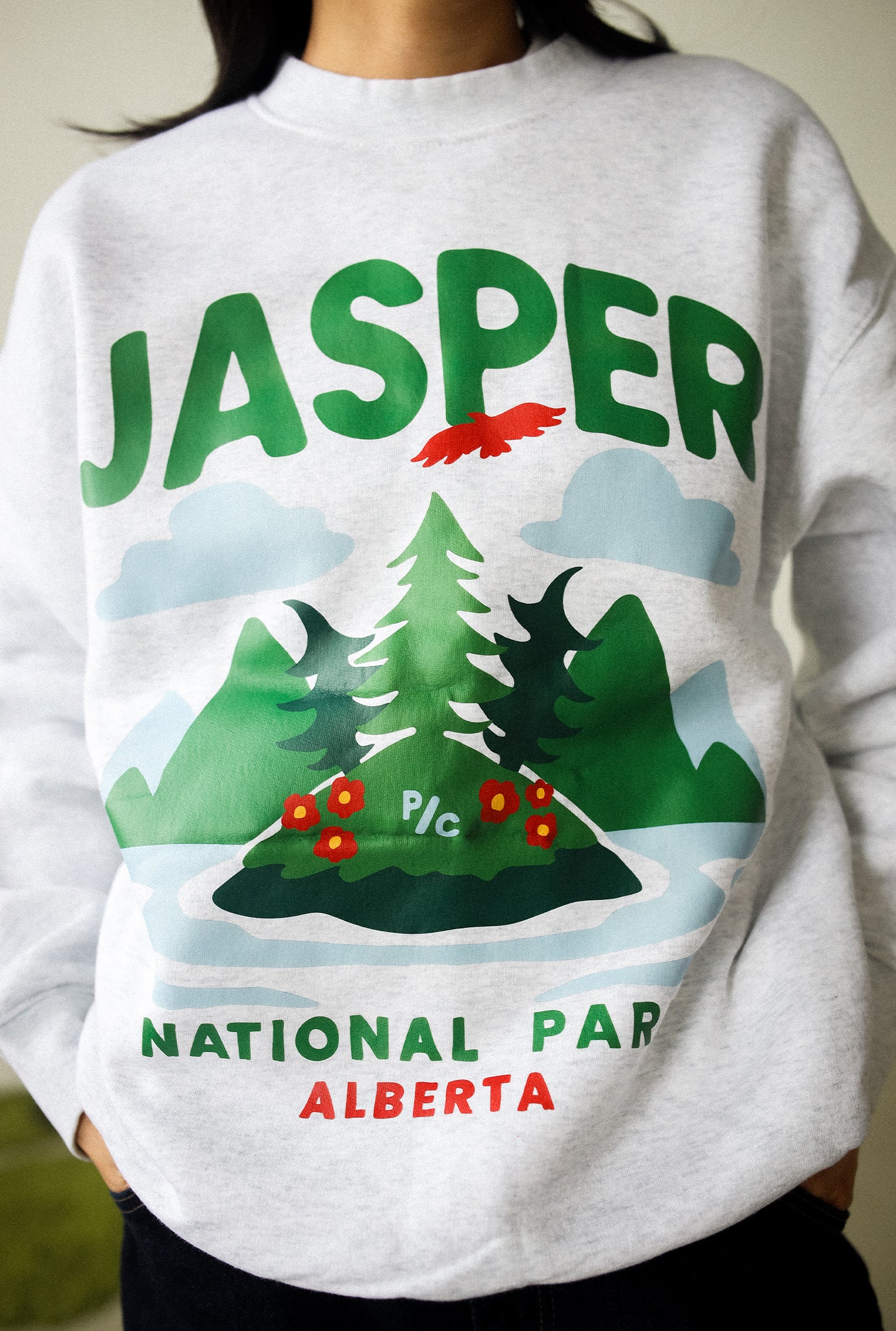 Jasper National Park Crewneck - Ash