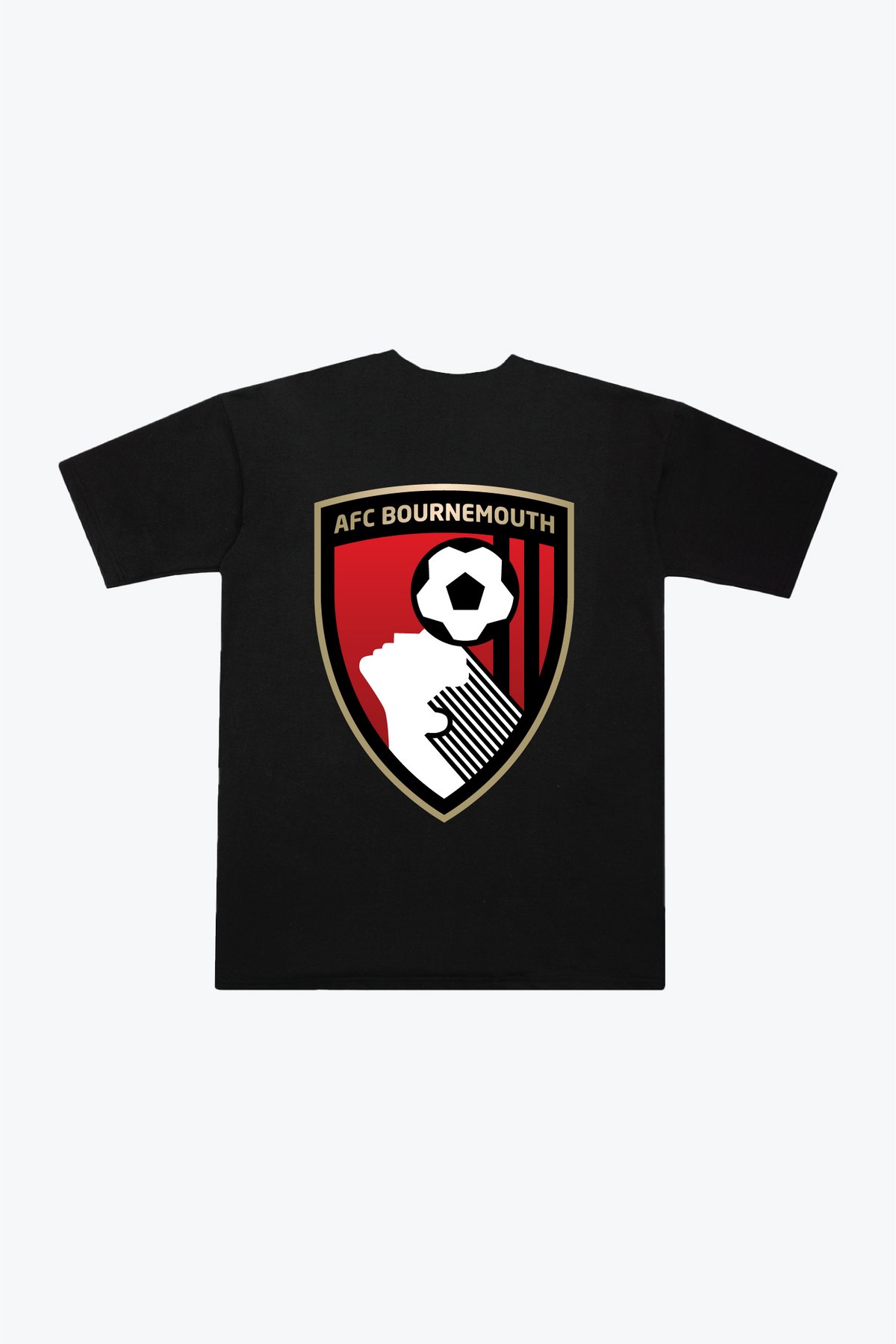 AFC Bournemouth Heavyweight T-Shirt - Black