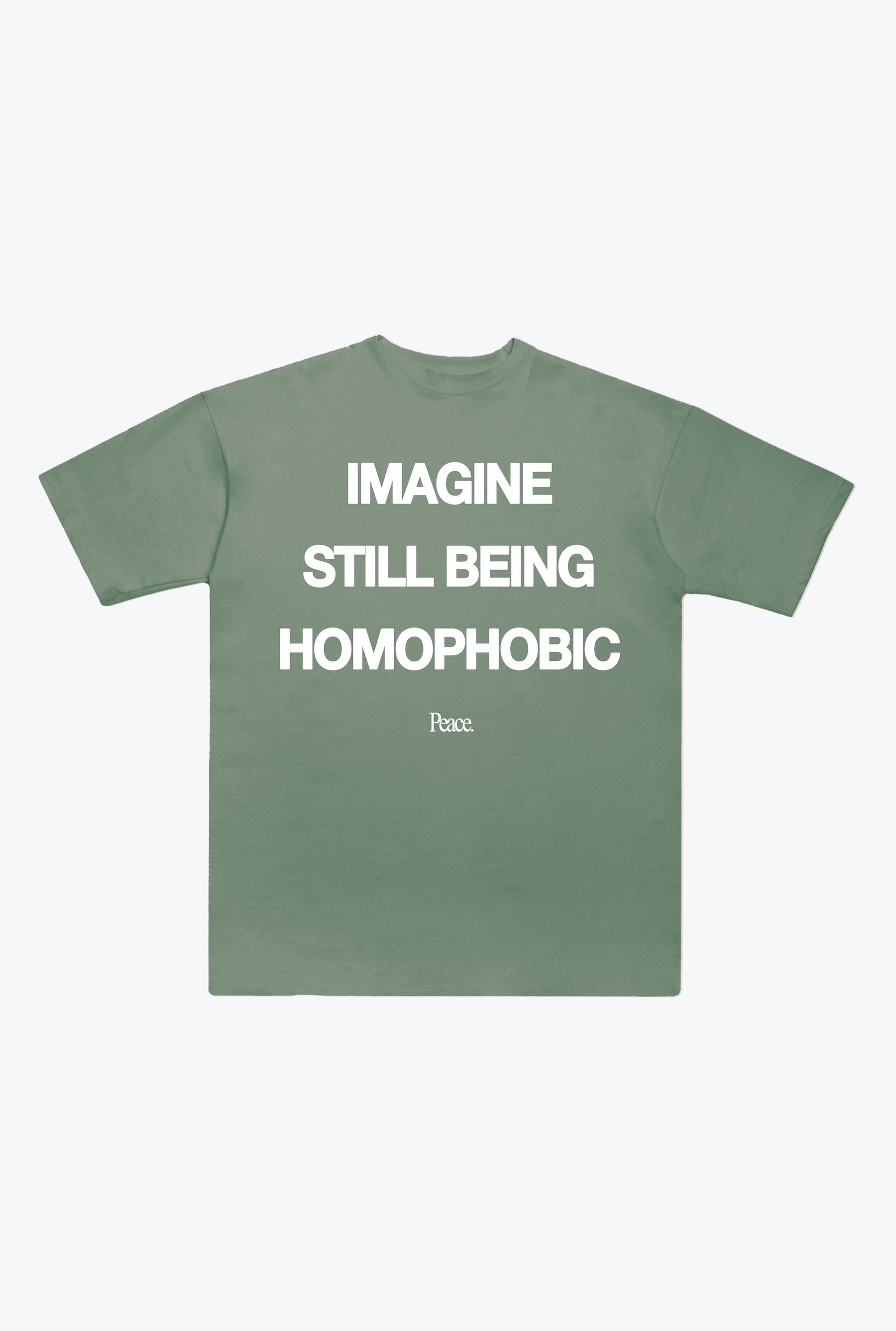 Imagine Still Being Homophobic Heavyweight T-Shirt - Sage Green