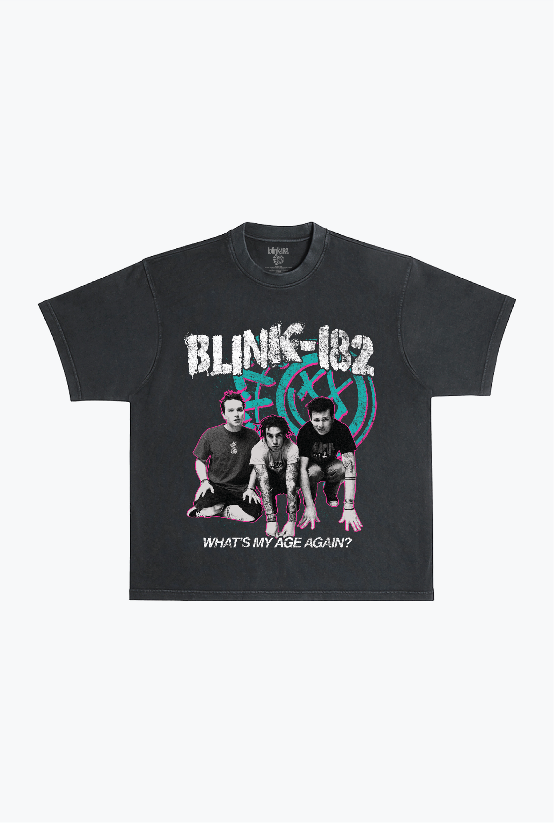 Blink-182 Heavyweight Garment Dyed T-Shirt - Black