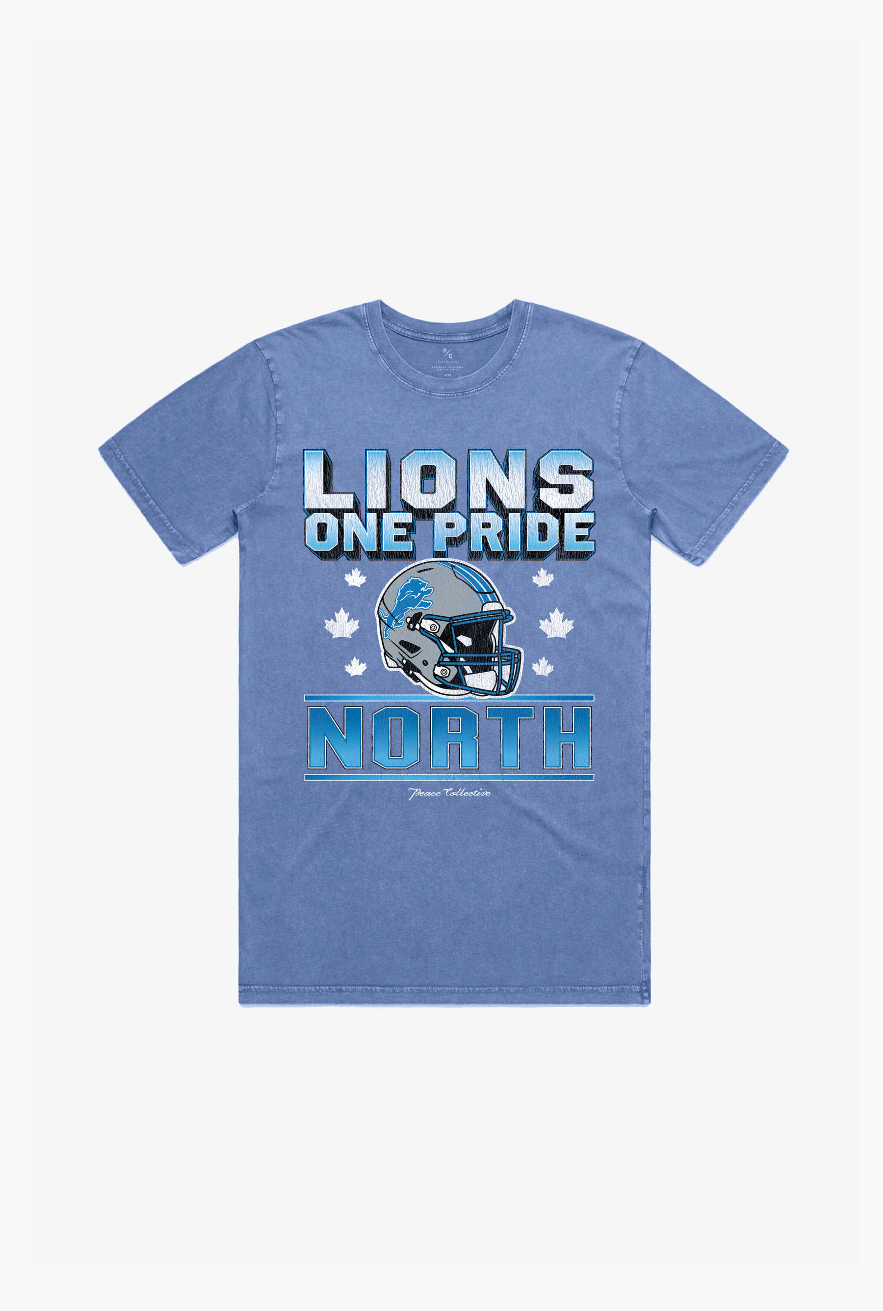 Detroit Lions One Pride North Heavyweight Garment Dyed T-Shirt - Blue