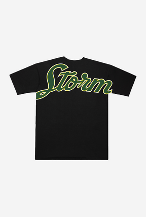 Seattle Storm Spirit Heavyweight T-Shirt - Black
