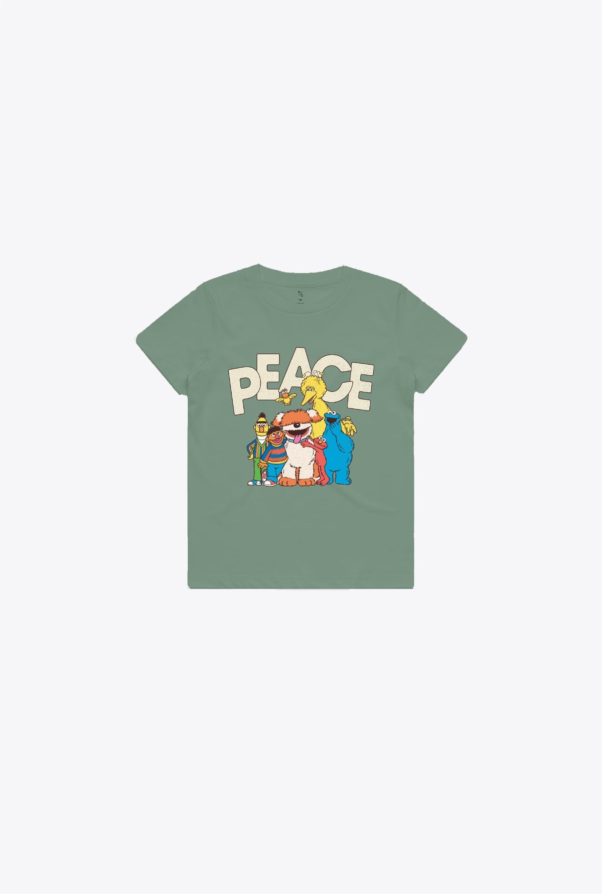 Sesame Street Kids T-Shirt - Sage Green