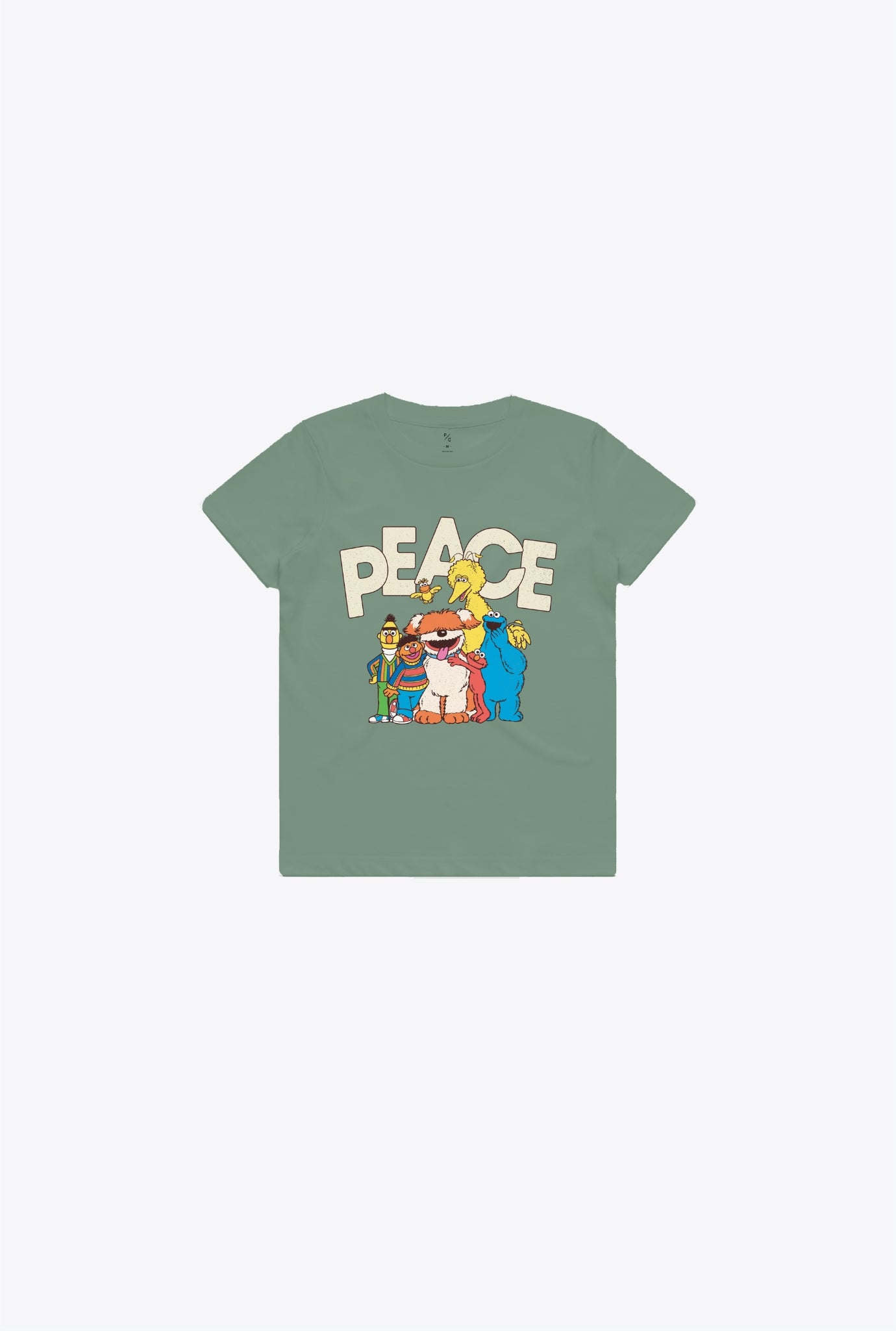 Sesame Street Kids T-Shirt - Sage Green